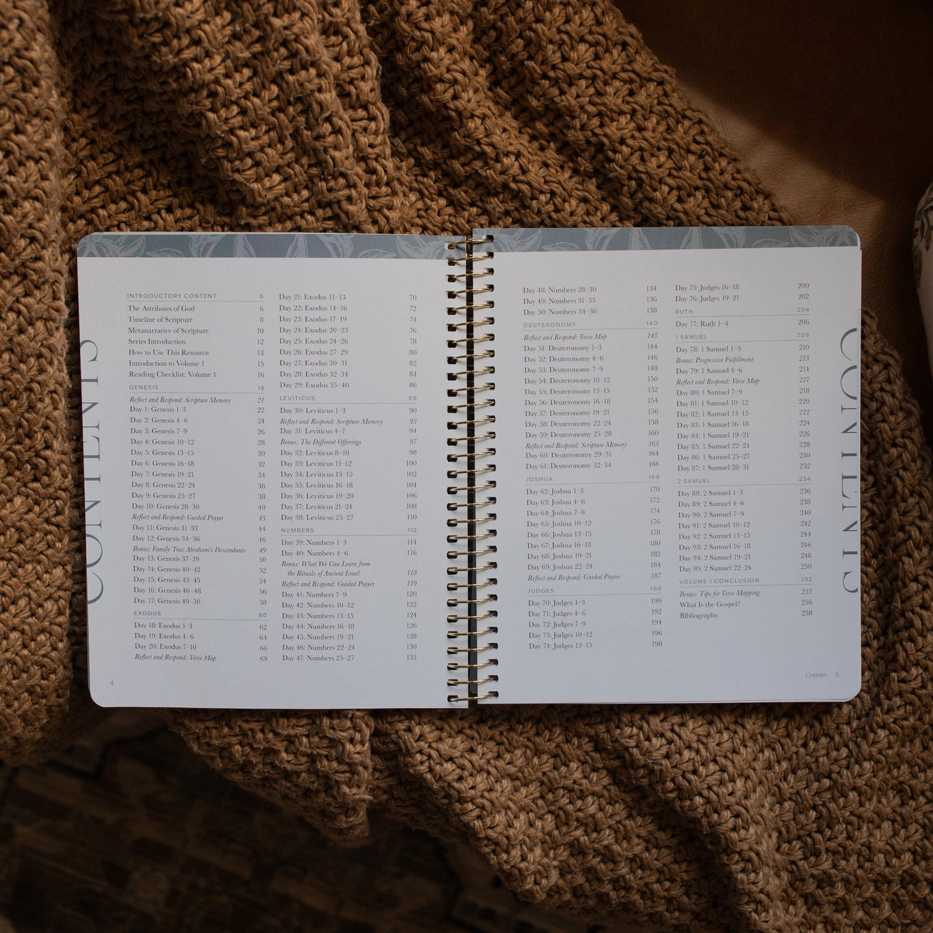 A Year in the Bible | Volume 1 Bible Study