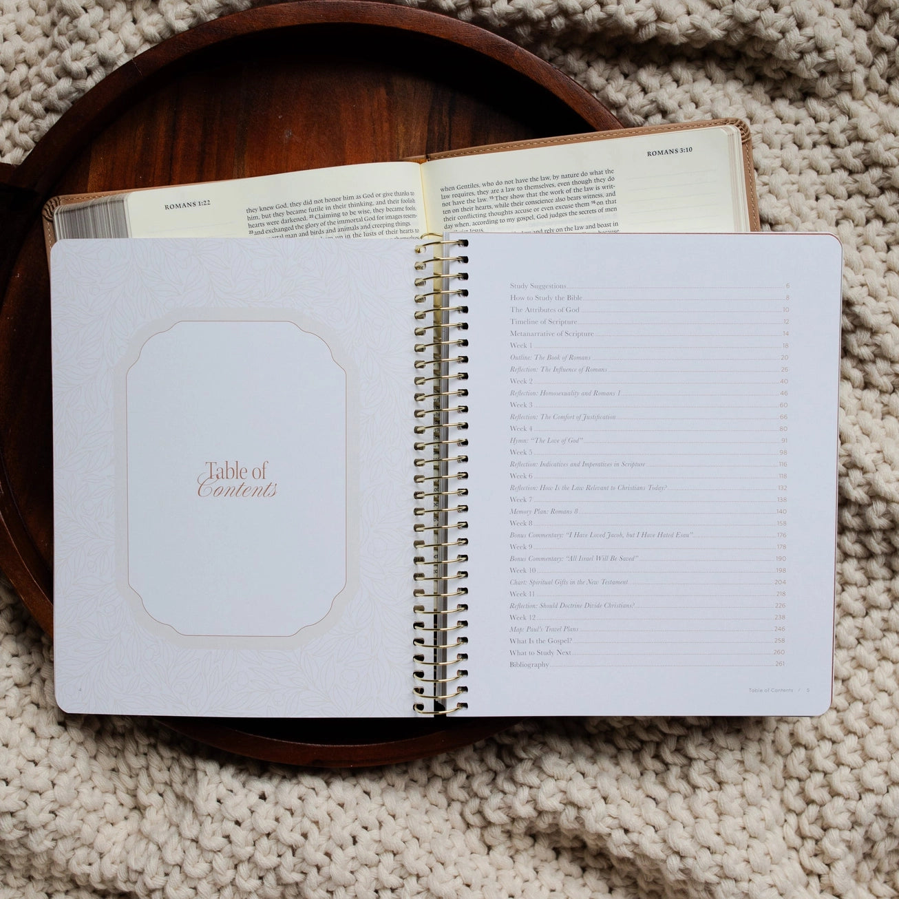In Christ Alone | Study on Book of Romans