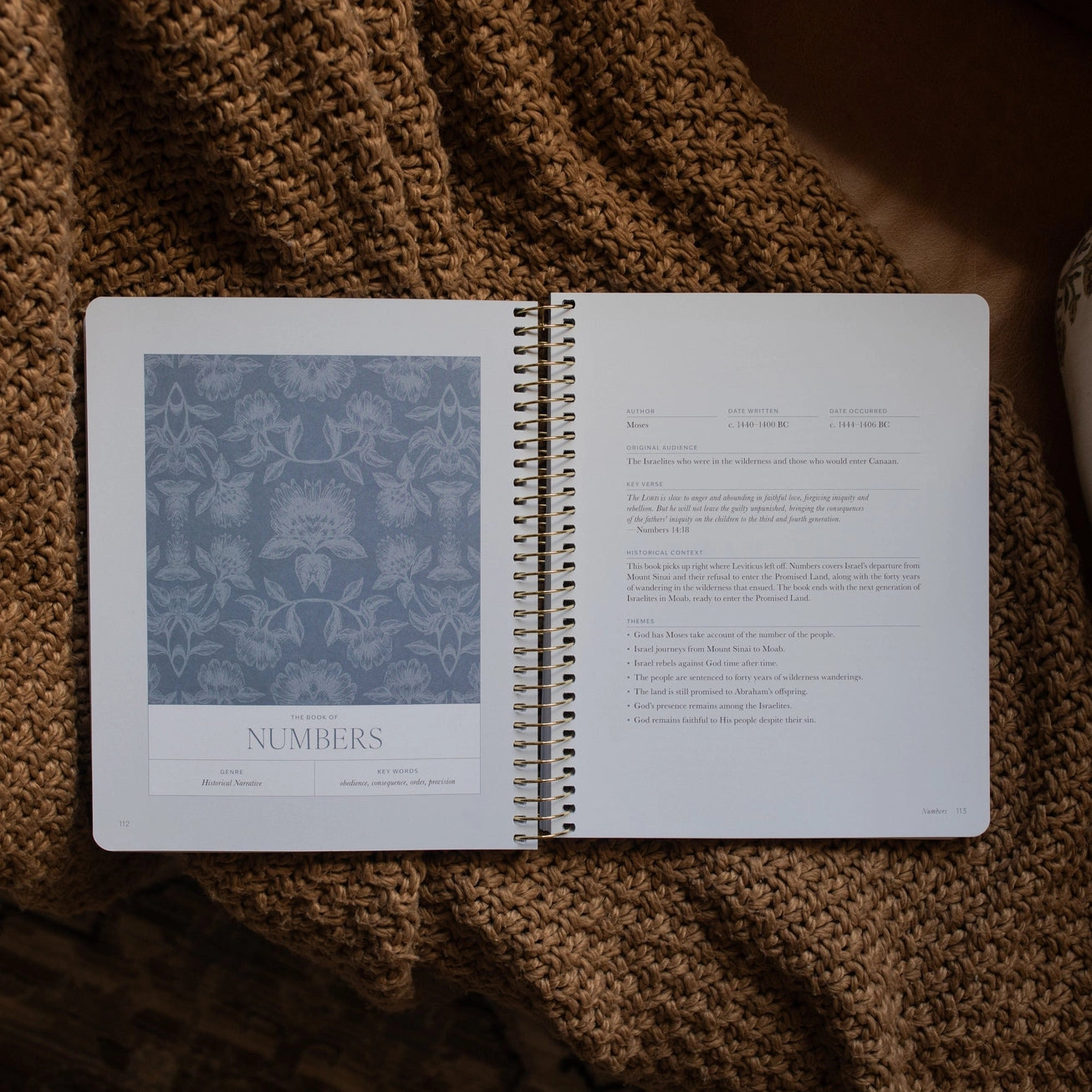 A Year in the Bible | Volume 1 Bible Study