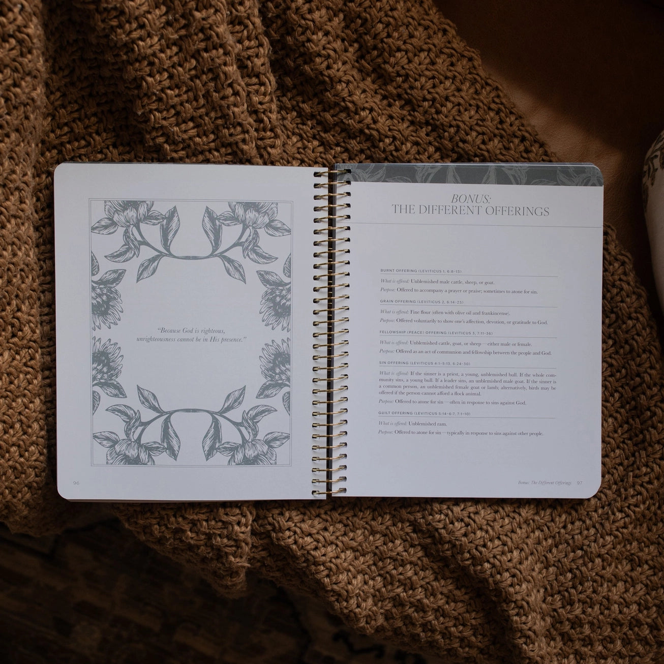 A Year in the Bible | Volume 1 Bible Study